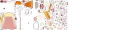 erpinskin 2