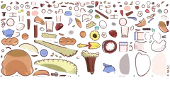 orrskin 1