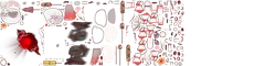 rimchaosskin 2