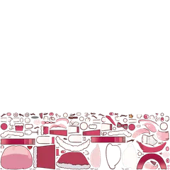 sellineskin 2