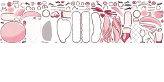 sellineskin 3