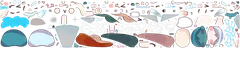 shashaskin 2