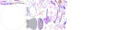 yomiaside