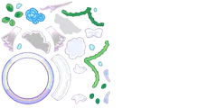 skinpassborderline 05
