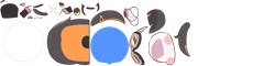 useraniprofilespine 04