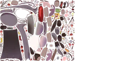 ristyskin 1