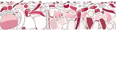 sellineskin 2