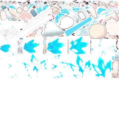 shashaskin 2