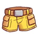 Explorer's Shorts