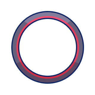 Zealous Officer Border