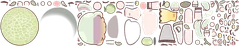 meluna