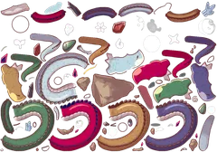 imoogi