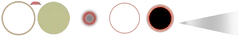 figures 202