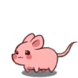 꼬끄